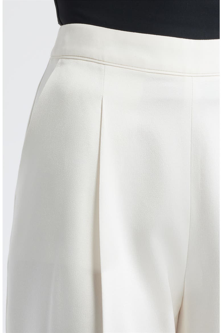 Takerana Pleated Tapered Straight Leg Pants, Alternate, color, SOFT CREAM