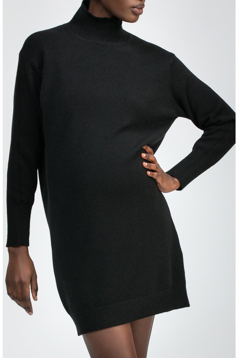 Felicia Turtleneck Long Sleeve Sweater Dress, Alternate, color, BLACK