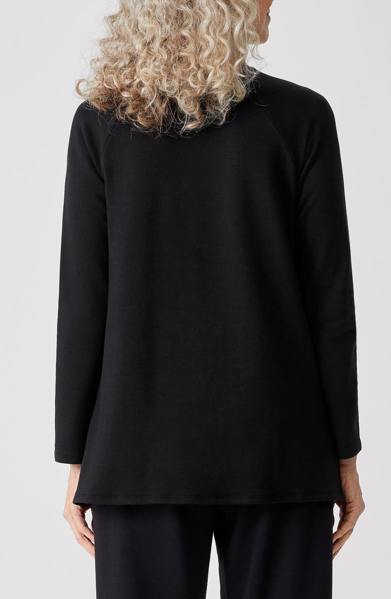 Eileen Fisher Raglan Crewneck Top, Alternate, color, 