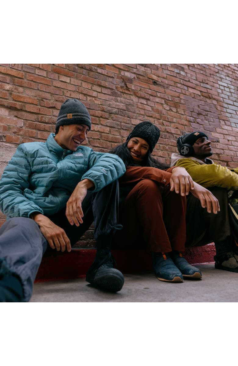 Turtle Fur Mr. Happy Wool Beanie, Alternate, color, 