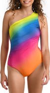 La Blanca Rainbow Shirred One-Shoulder One-Piece Swimsuit