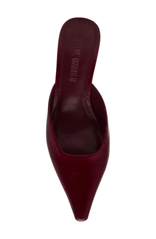 Steve Madden Lisbeth Pointed Toe Mule