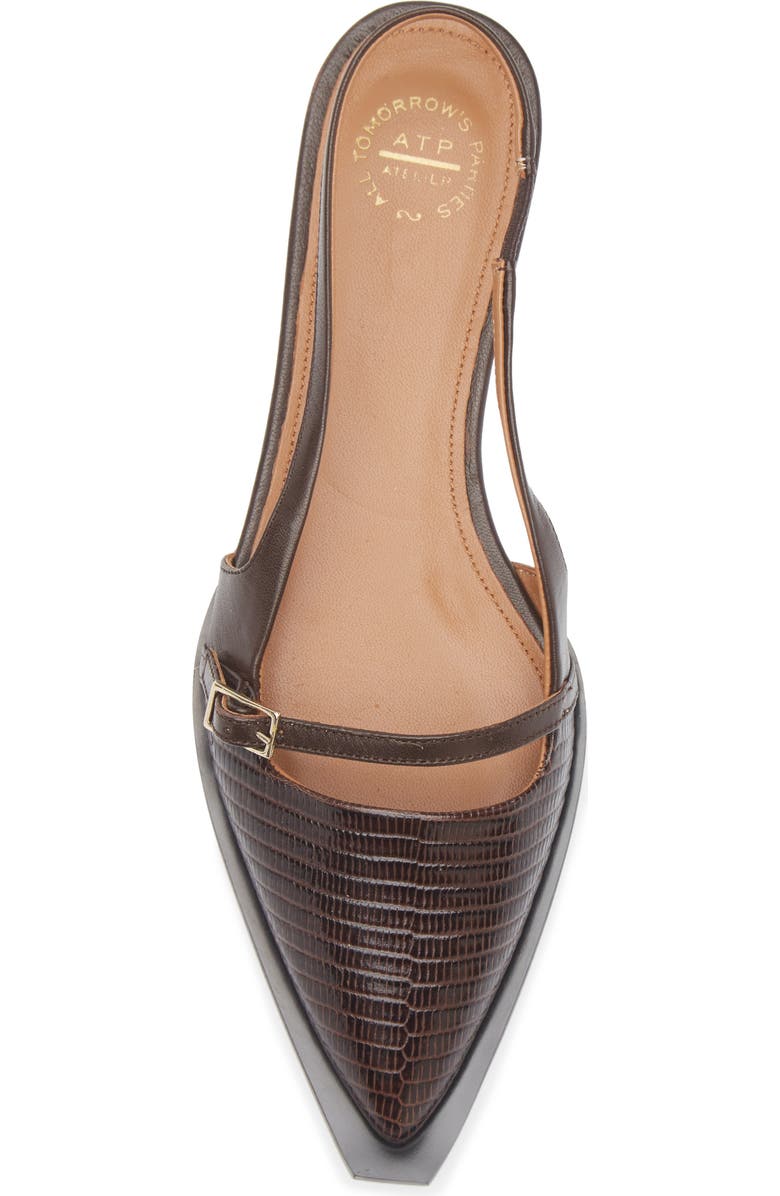 ATP ATELIER Cortina Pointed Toe Slingback Flat, Alternate, color, Walnut