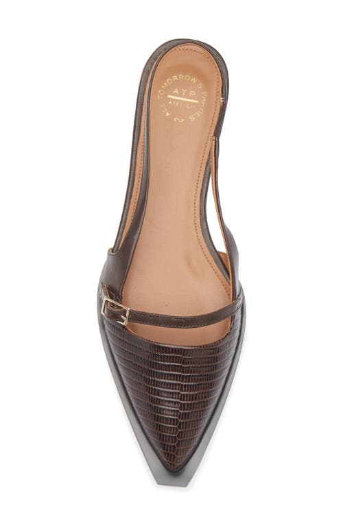 Atp Atelier Cortina Pointed Toe Slingback Flat In Animal Print
