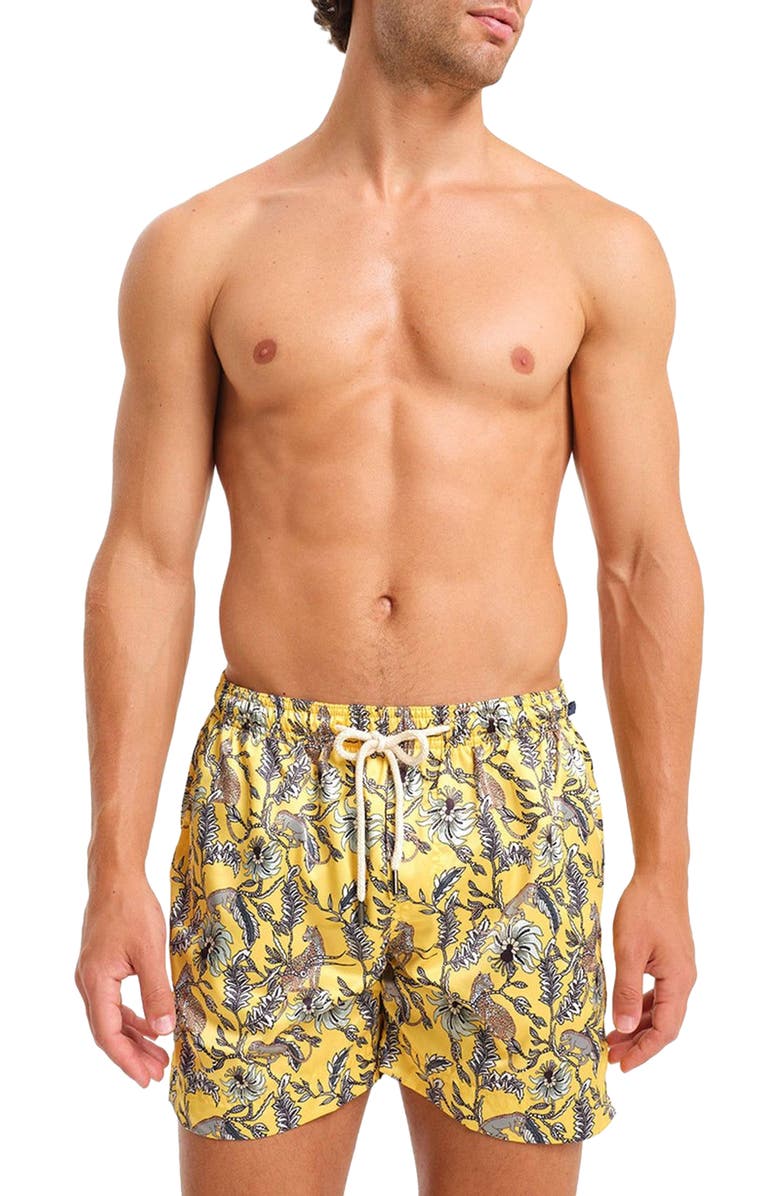 Peninsula Swimwear Malindi Swim Shorts, Main, color, 