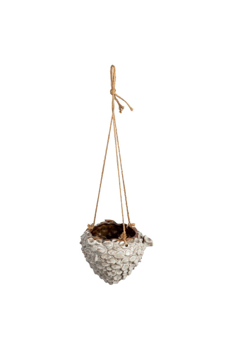Storied Home Hanging Planter with Rope, Main, color, White