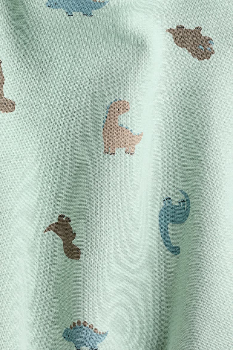2-pack Printed Sweatshirts, Alternate, color, Mint green/dinosaurs