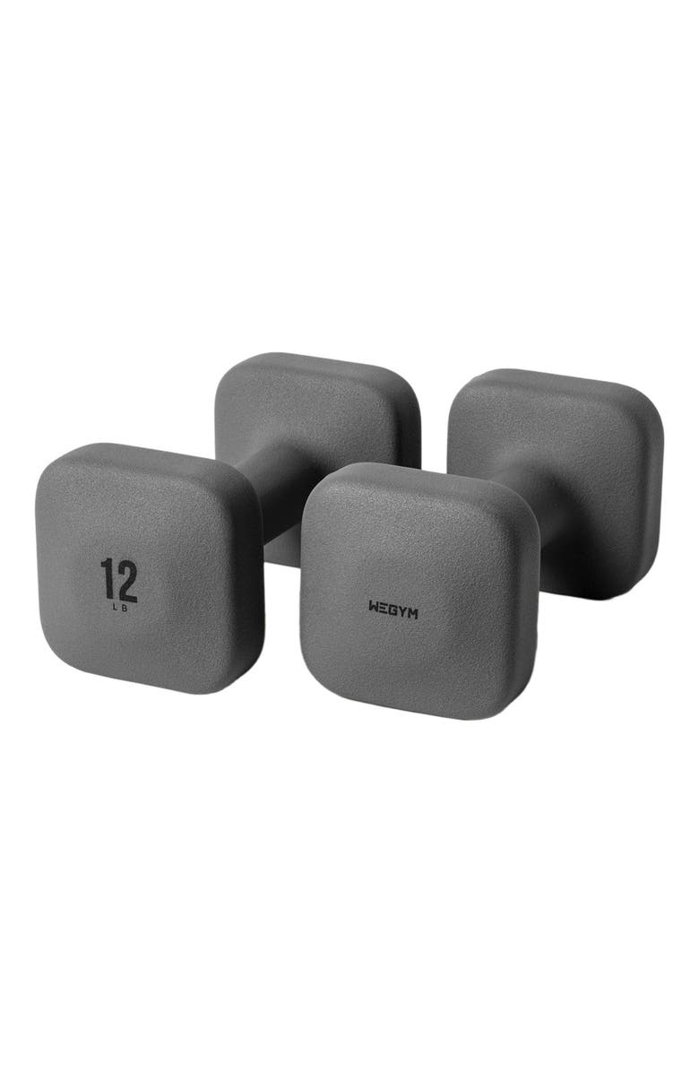 WeGym SafeGrip Dumbbells, Main, color, Slate