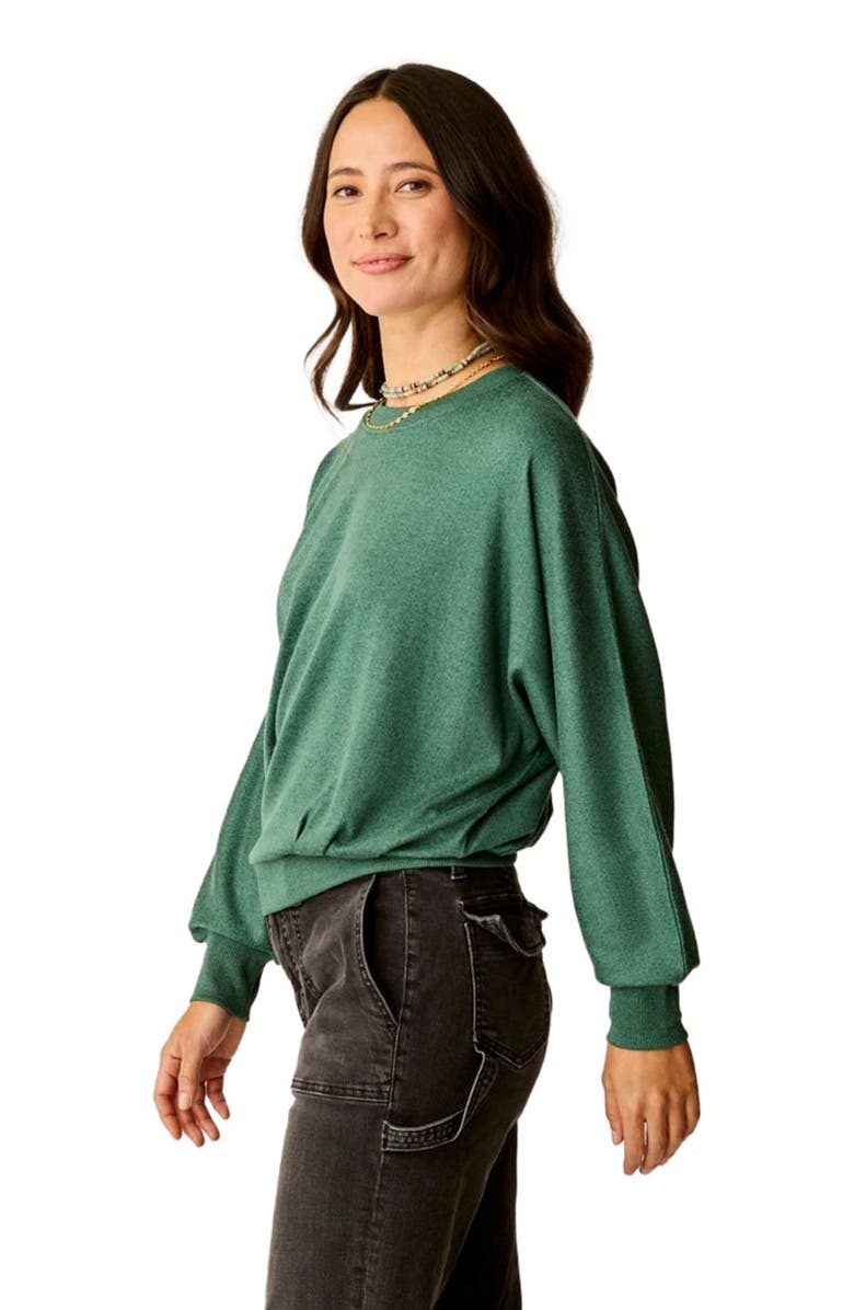 Carve Designs Anneke Supersoft Dolman, Alternate, color, Bistro Heather