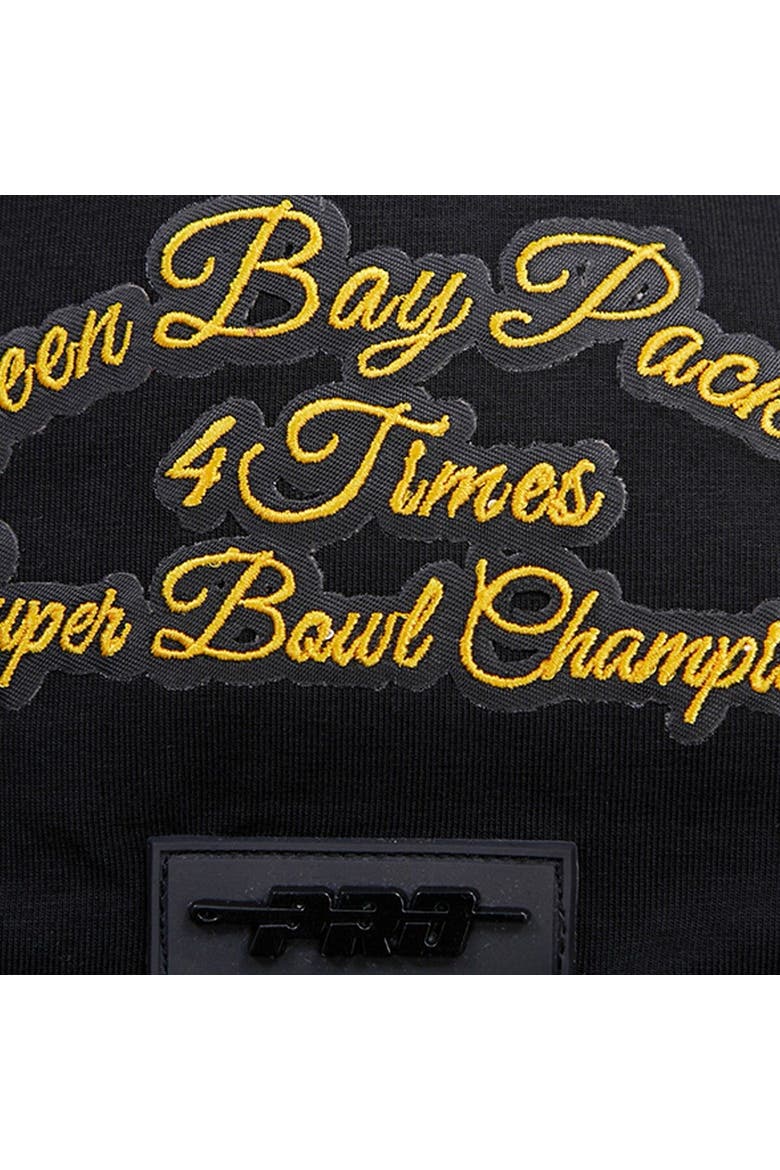 Men's Pro Standard Black Green Bay Packers Hybrid T-Shirt, Alternate, color, Black