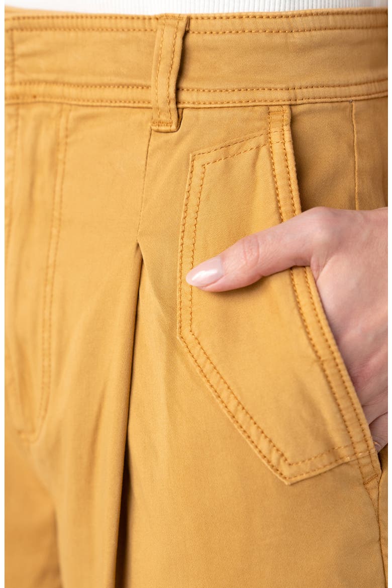 Pleated High Waist Ankle Tapered Pants, Alternate, color, GOLD RUSH