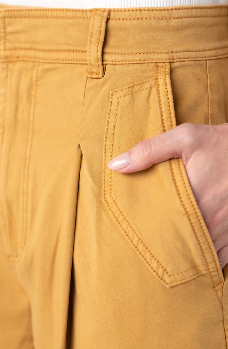 Liverpool Los Angeles Pleated High Waist Ankle Tapered Pants, Alternate, color, Gold Rush