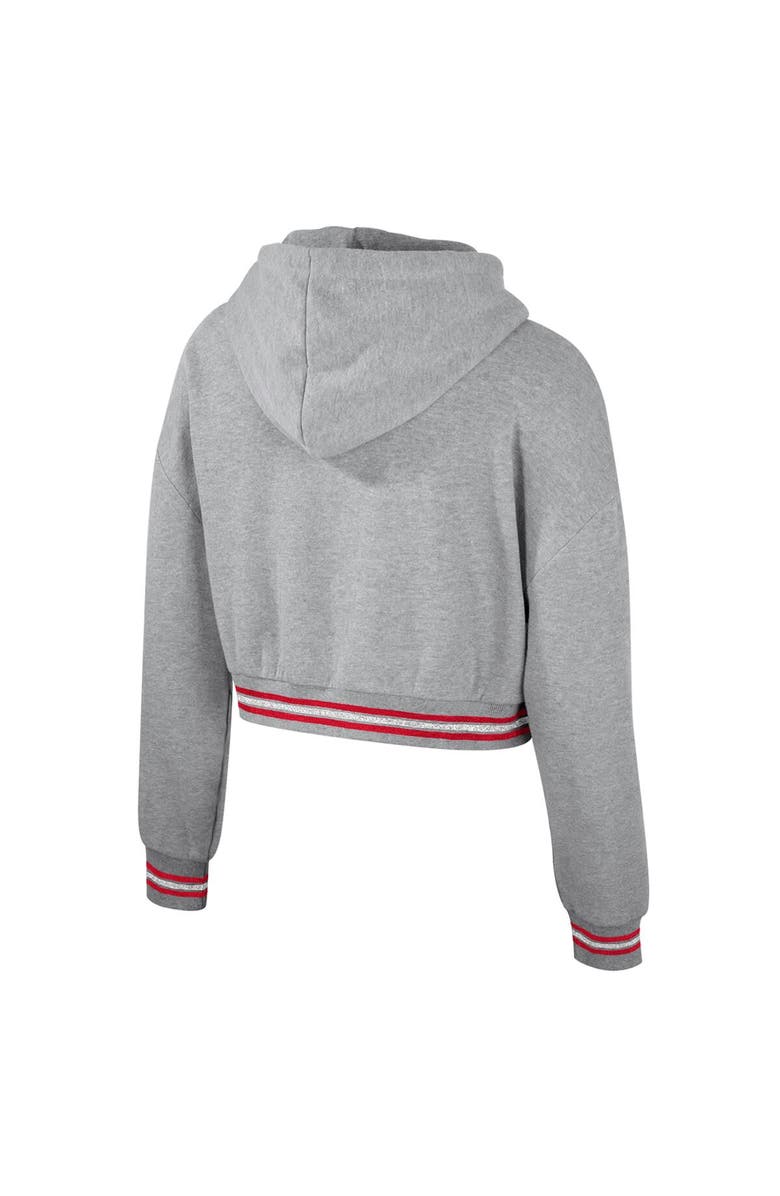 THE WILD COLLECTIVE Women's The Wild Collective Heather Gray Wisconsin Badgers Cropped Shimmer Pullover Hoodie, Alternate, color, Heather Gray