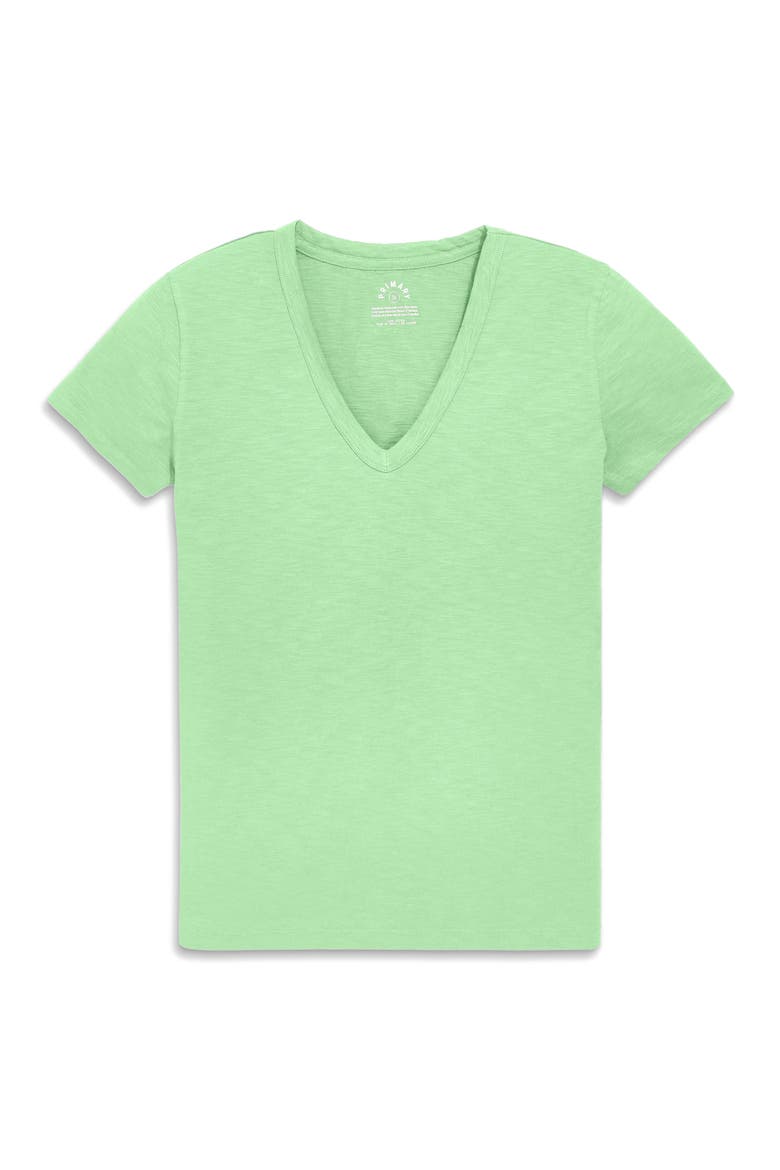 Women's Fit Classic Slub V-Neck Tee, Main, color, Pear