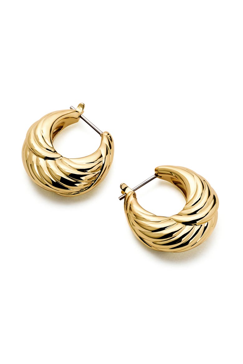 Gold Hoop Earrings - Tymie, Alternate, color, Gold