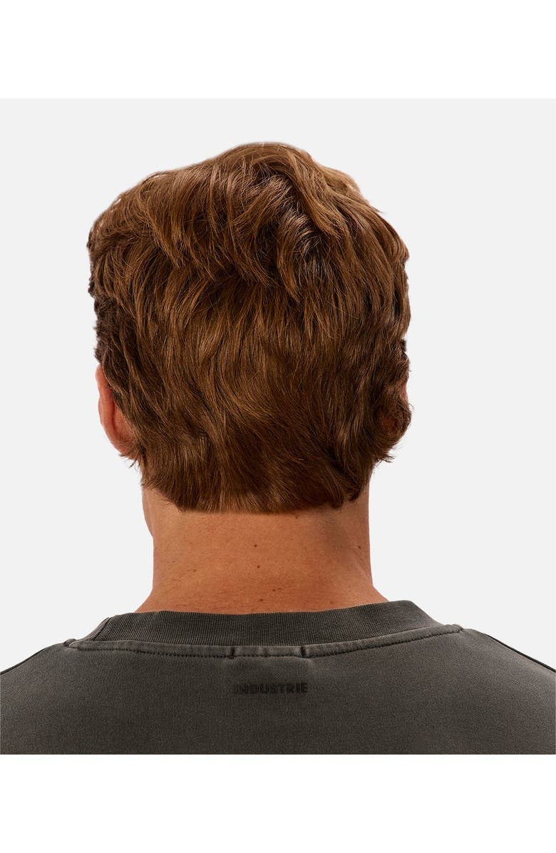 Industrie Australia The Newport Long Sleeve Tee, Alternate, color, 