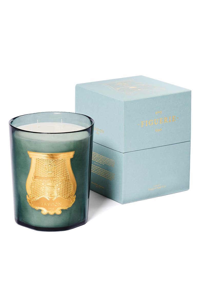 Trudon Figuerie Great Scented Candle, Alternate, color,