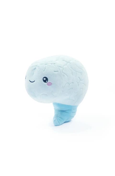 Brain Plush Organ
