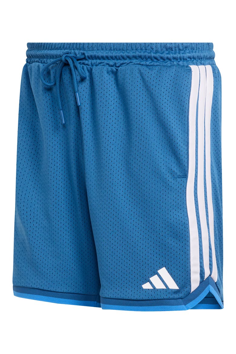 Stadium Mesh Shorts, Alternate, color, DUSKY PETROL/ RAY BLUE/ WHITE