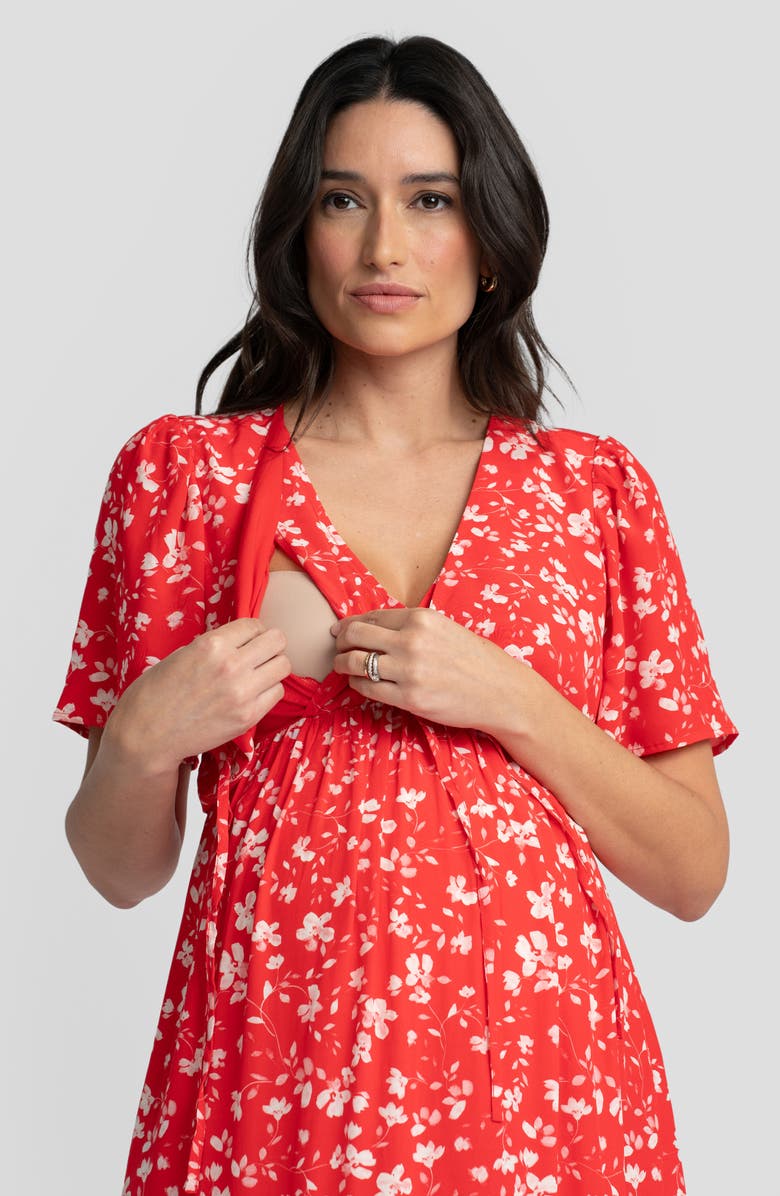 Seraphine Floral Maternity/Nursing Jersey Midi Dress, Alternate, color,