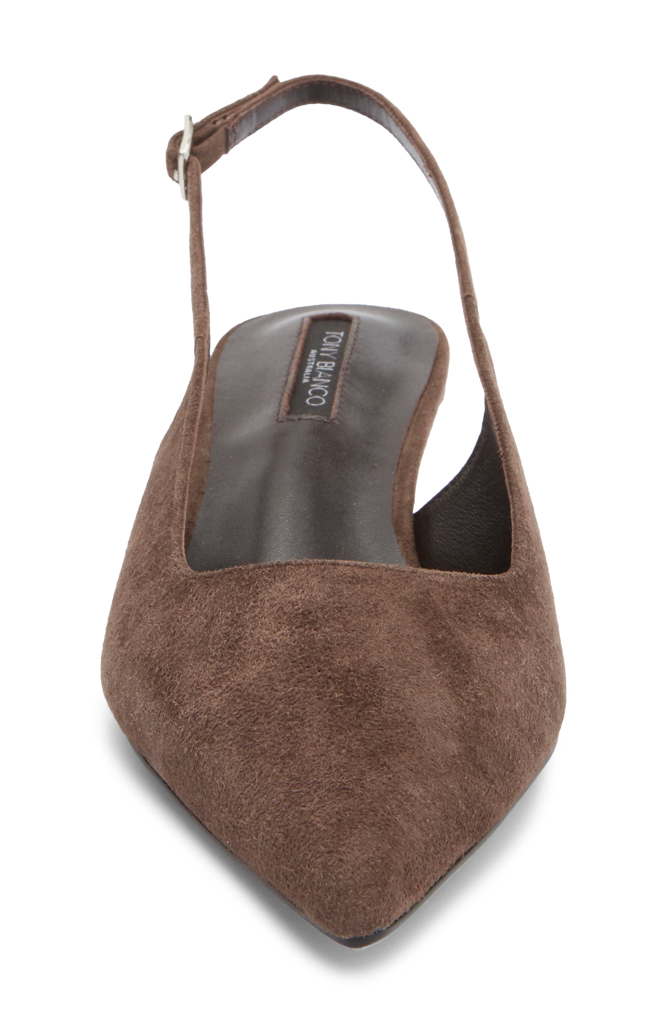 Crush Slingback Pointed Toe Kitten Heel Pump