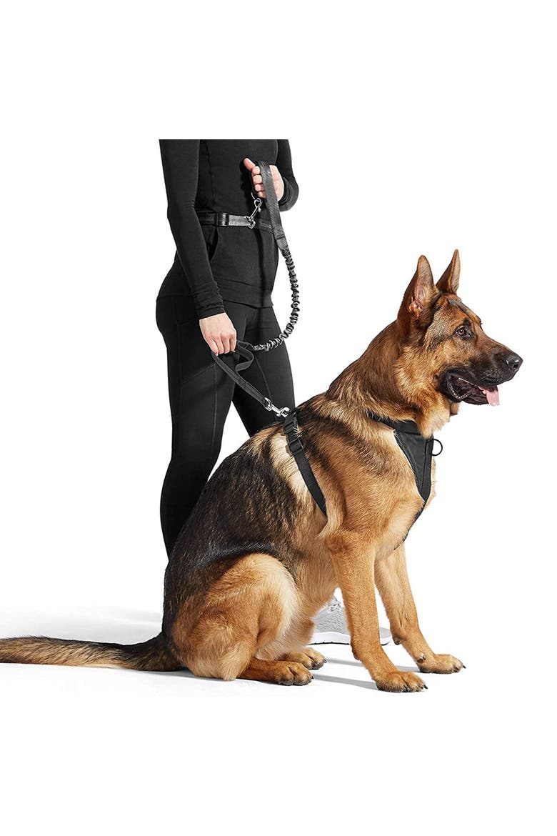 Hands Free Bungee Dog Leash, Alternate, color, Multicolored
