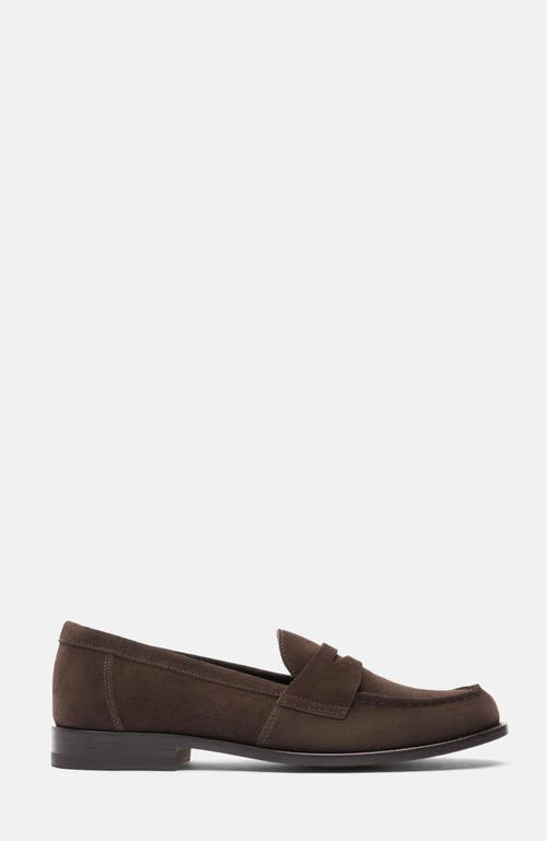 Scarosso Harper Suede Penny Loafers In Brown