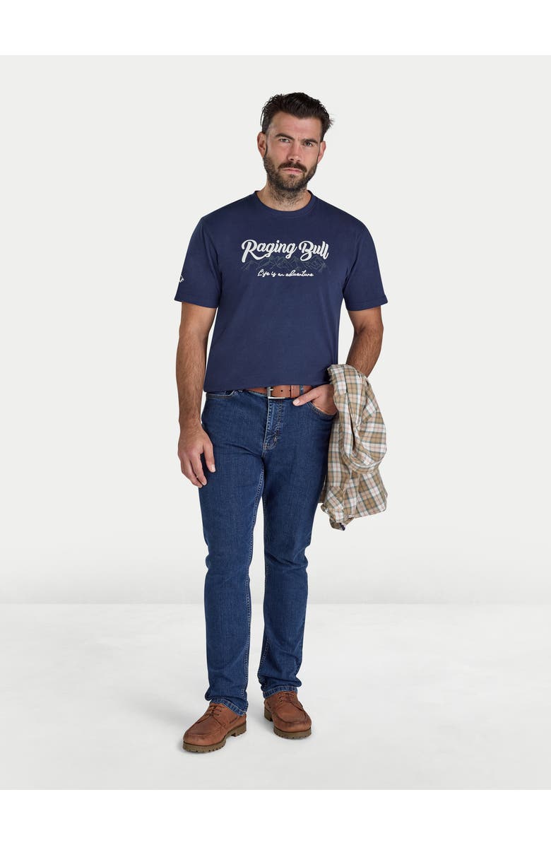 Raging Bull Embroidered Mountains T-Shirt, Alternate, color, Navy Marl