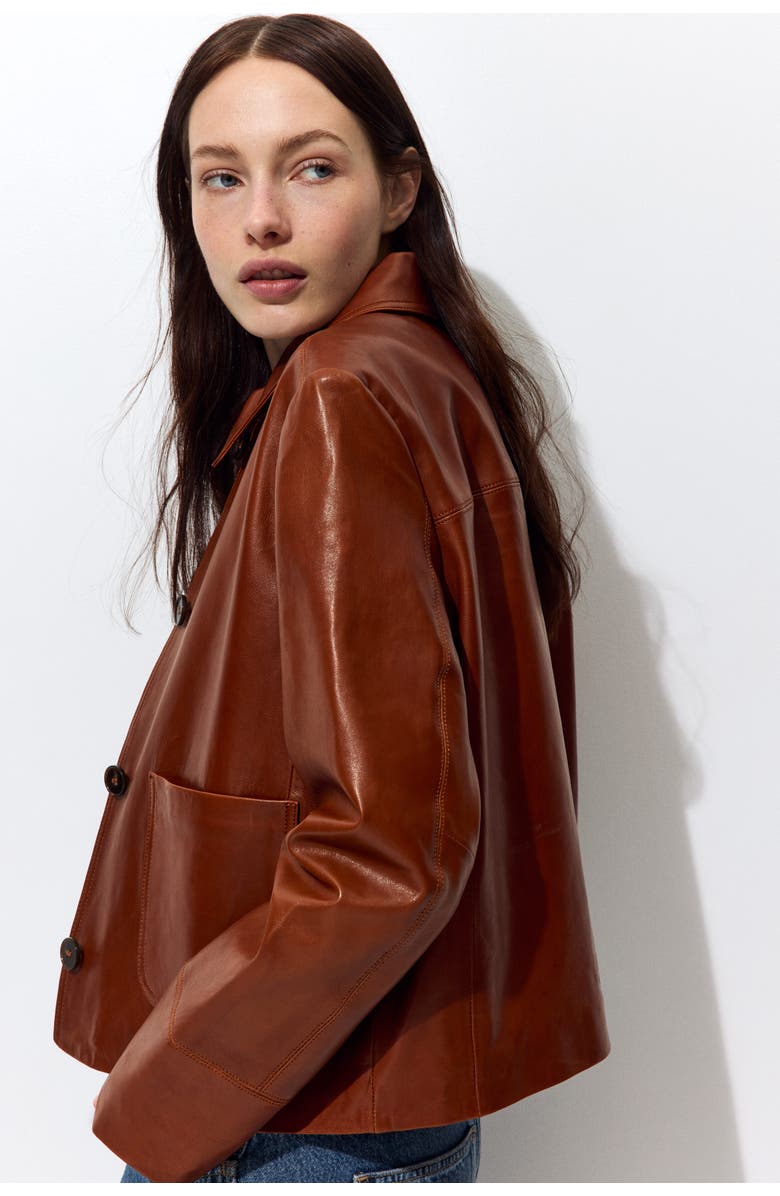 H&M Leather Jacket, Alternate, color, Brown