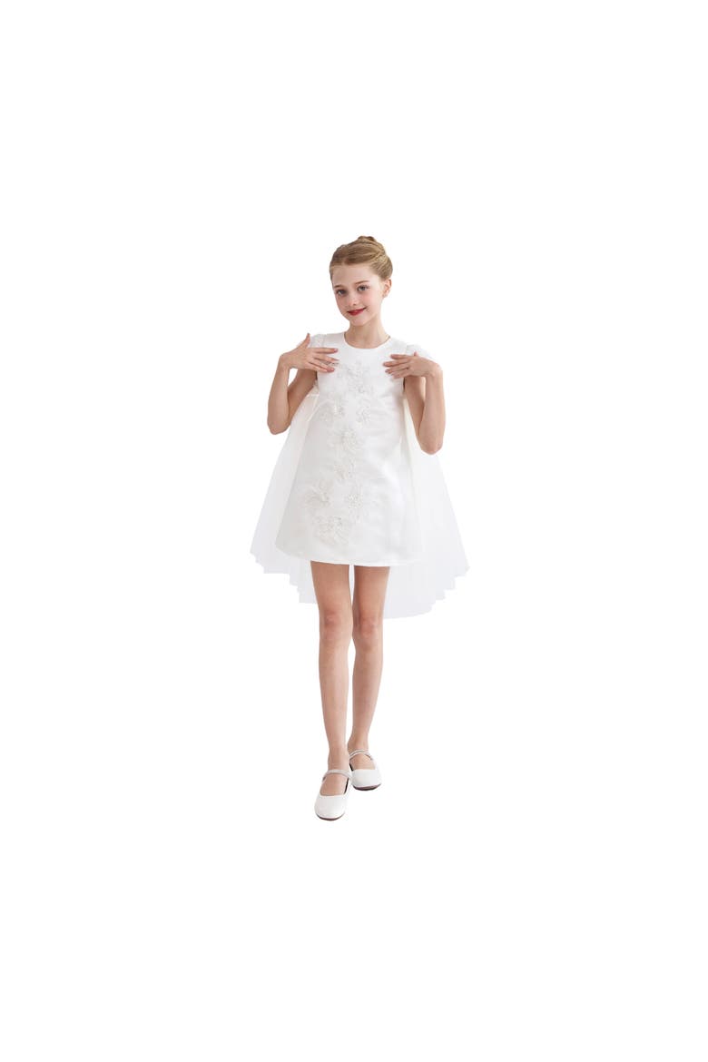 Embroidered Briavelle Dress, Alternate, color, White
