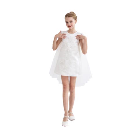 Embroidered Briavelle Dress