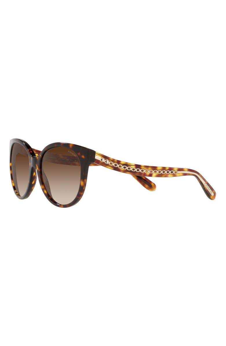 COACH 55mm Gradient Round Sunglasses, Alternate, color, Dark Tortoise