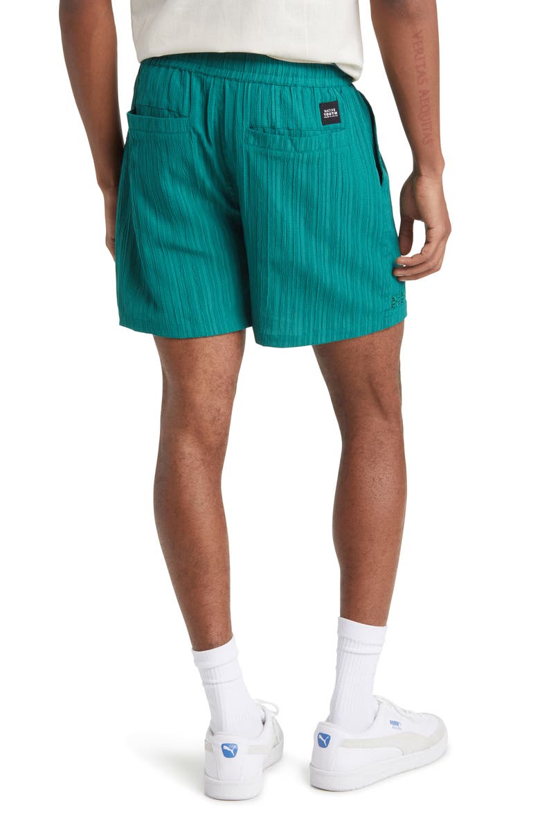 Native Youth Rib Textured Seersucker Shorts, Alternate, color, 