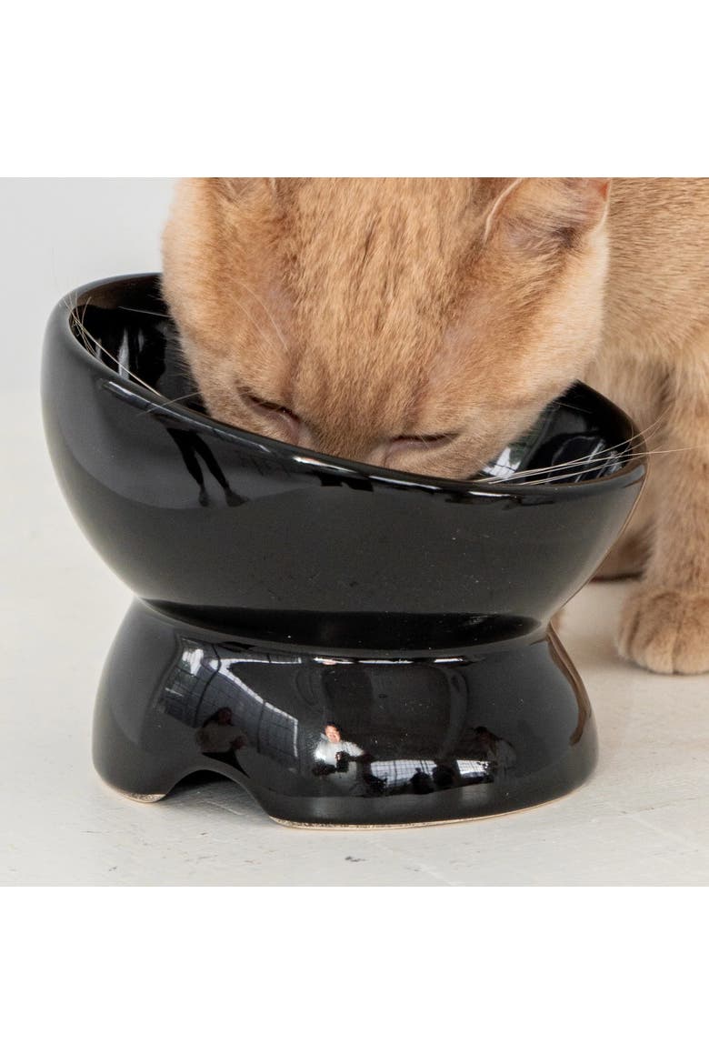 Elevated Ceramic Cat Bowl, Black, 7oz, Pet Feeding Dish, Alternate, color, Black