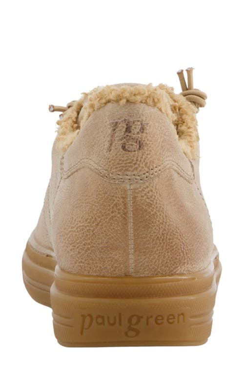Paul Green Hadley Fluff Sneaker In Neutral