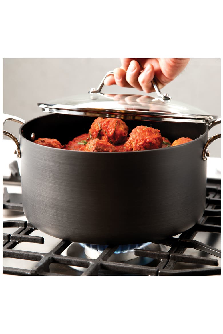 Essentials Steam, Poach & Stew Nonstick 7-Quart Pot with Multipurpose Insert and Lid, Alternate, color, BLACK