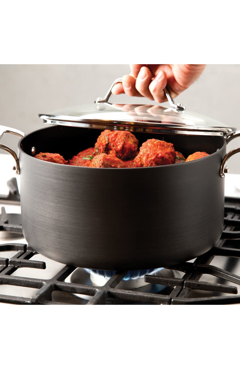 All-Clad Essentials Steam, Poach & Stew Nonstick 7-Quart Pot with Multipurpose Insert and Lid, Alternate, color, Black