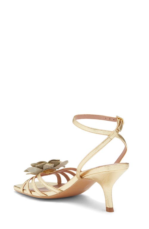 Linea Paolo Candice Flower Sandal In Gold