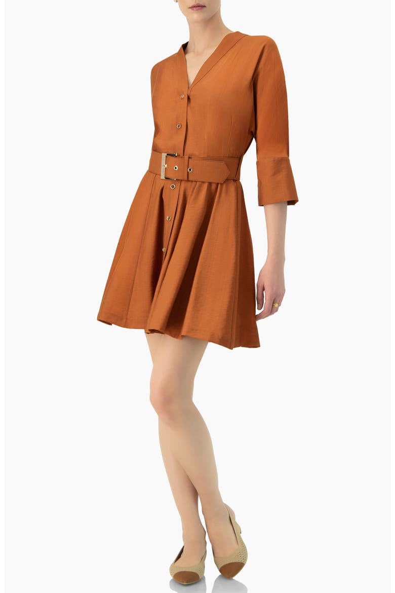 Dolman Sleeve Solid Dress with Belt, Alternate, color, Brown