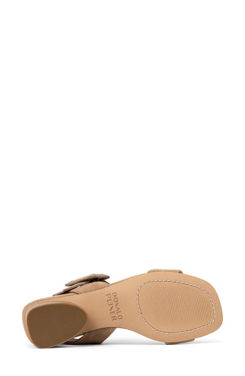 DONALD PLINER DONALD PLINER OVERSIZE BUCKLE SLINGBACK SANDAL 