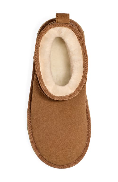 Ugg Classic Mini Platform Boot In Chestnut