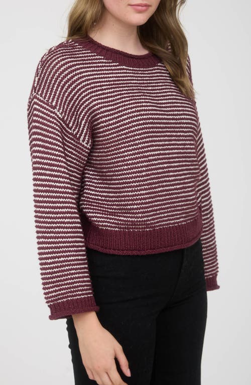 Blu Pepper Rib Trim Sweater In Brown