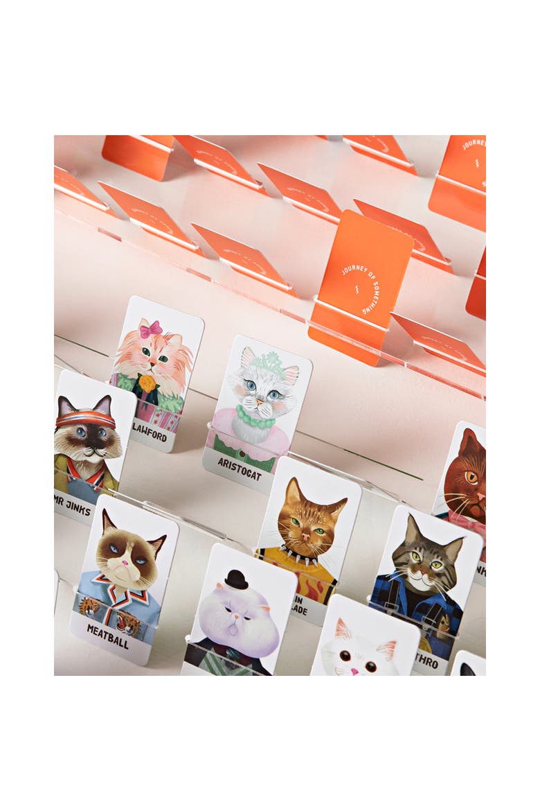 Guess the Feline, Quirky Cat Guessing Party Game, Alternate, color, Multicolored