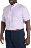 Brooks Brothers Big & Tall Non-Iron Gingham Sport Shirt