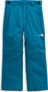 The North Face Kids' Freedom Waterproof Insulated Snow Pants