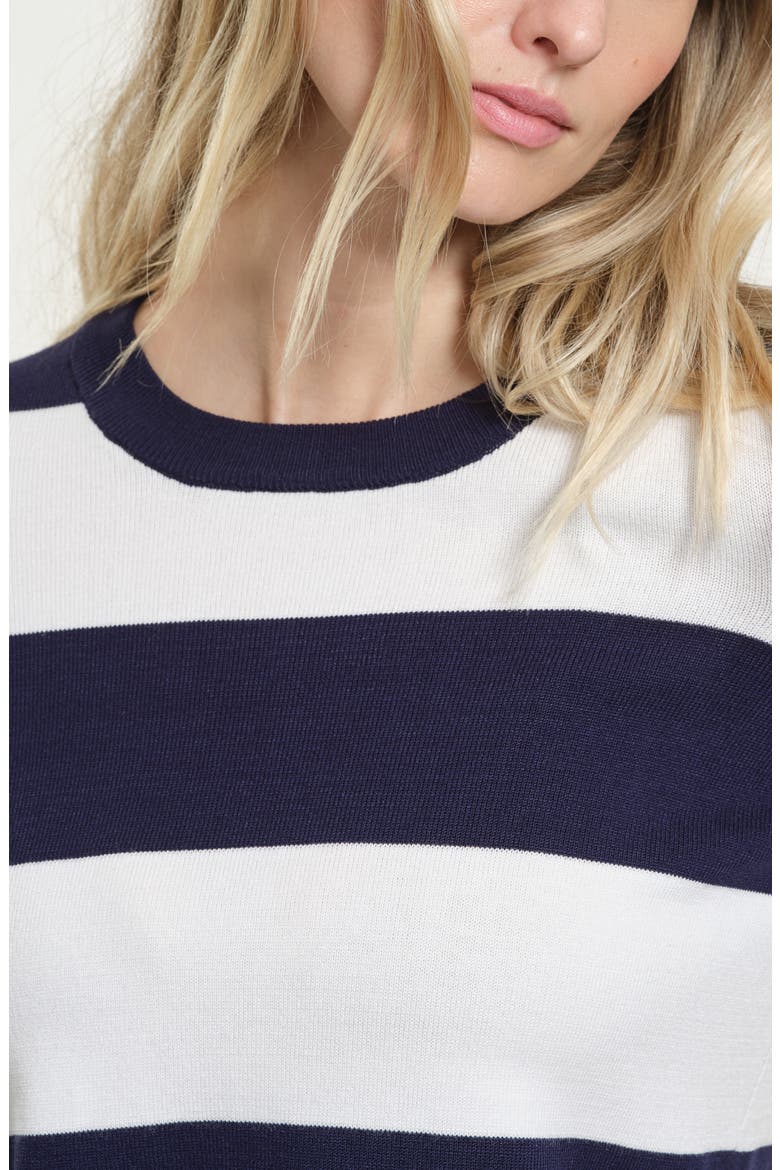 Stripe Crewneck Sweater, Alternate, color, NAVY/ WHITE