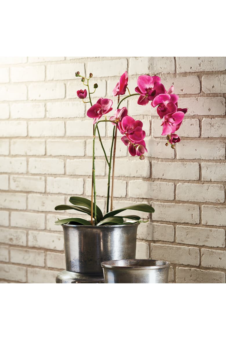Phalaenopsis X 2 Drop-In 29", Alternate, color, pink