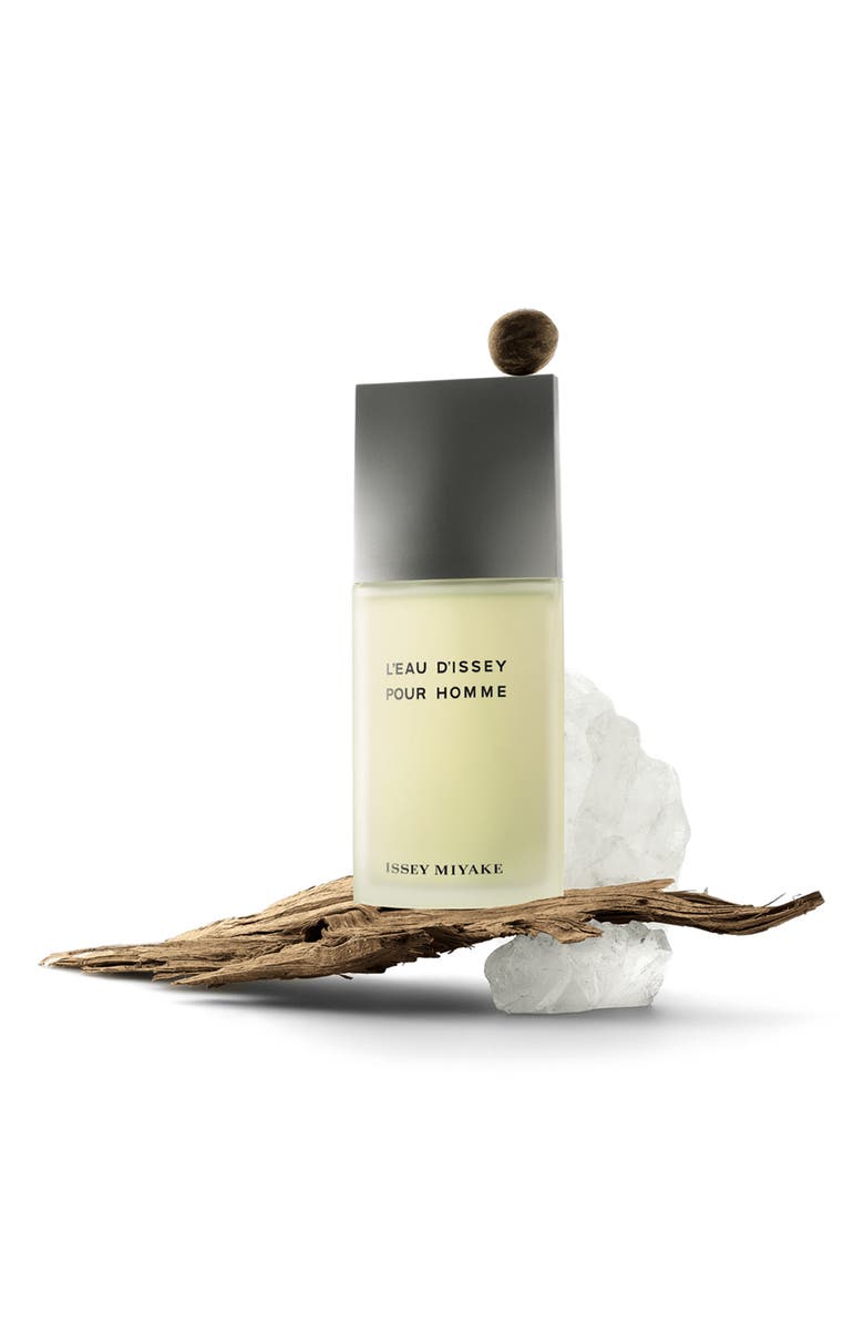 Issey Miyake L'Eau d'Issey pour Homme Eau de Toilette Set, Alternate, color, 