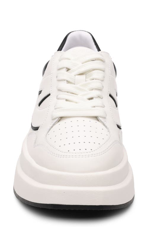 Ash Icone Platform Sneaker In White/black
