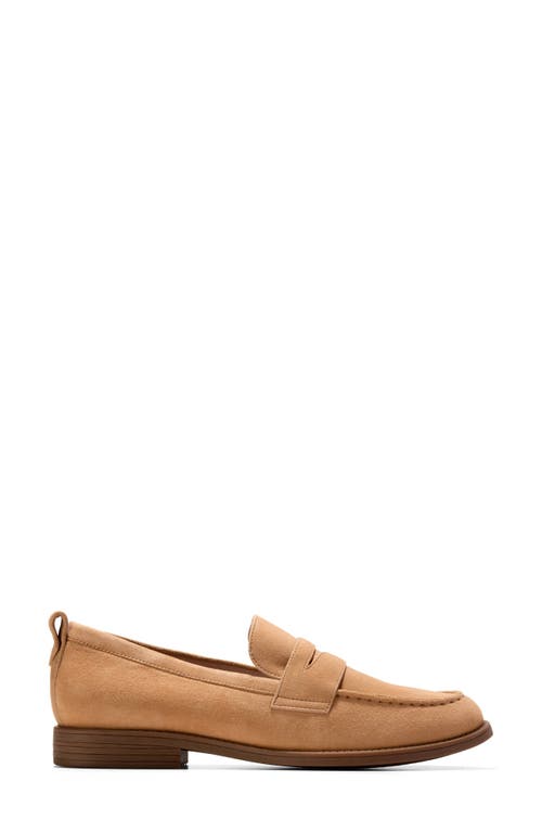 Cole Haan Camea Lug Sole Penny Loafer In Biscuit Suede